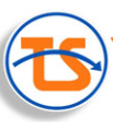 Tradelink Transmission Services Pvt. Ltd. Official Logo